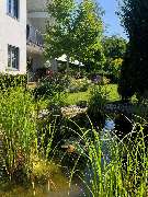 Die Gartenmalerin - Andrea Meitinger - 3