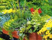 Die Gartenprofis Chemnitz - 3