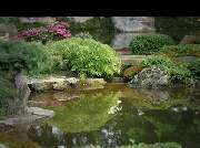 Die Gartenprofis Chemnitz - 4