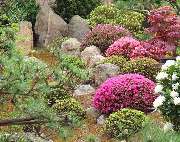 Die Gartenprofis Chemnitz - 6