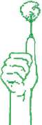 Die Grüne Hand Garten- und Landschaftsbau - 1