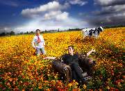 Die Kuh vom Eis GmbH - GALLERY