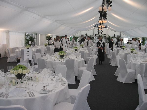 die moog - event competent I Annette Moog - GALLER …