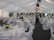 die moog - event competent I Annette Moog - GALLERY