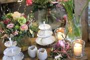 Die Mühlbachgärtnerei Beubl - GALLERY