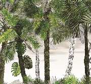 die Raumtapeterie - Lieblingstapete von Christian Lacroix