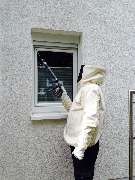 Die Schädlingsbekämpfer UG - GALLERY