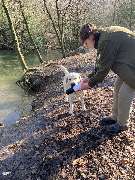 Die Schule der Labradorfreunde - GALLERY