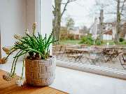 Die Teigmacher - Café & Eventlocation Lesehalle - GALLERY