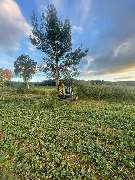 Dienstleistungsunternehmen Michael und Lukas Engel GbR - 1