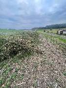 Dienstleistungsunternehmen Michael und Lukas Engel GbR - 1df514c2-fa85-4ac9-8eb2-be1698534d24.jpeg