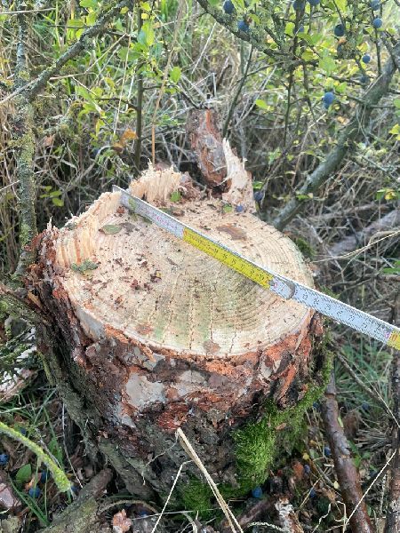 Dienstleistungsunternehmen Michael und Lukas Engel …