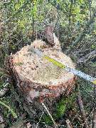 Dienstleistungsunternehmen Michael und Lukas Engel GbR - 70fbe34d-6392-4e68-af64-2de9ab76755d.jpeg