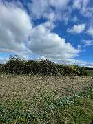 Dienstleistungsunternehmen Michael und Lukas Engel GbR - ad26956e-141a-47fc-83c6-bce9e0ba2ad1.jpeg