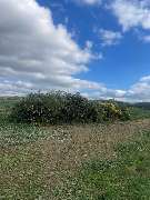 Dienstleistungsunternehmen Michael und Lukas Engel GbR - dc79ad3c-3586-49c9-9714-43c1d31102db.jpeg