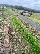 Dienstleistungsunternehmen Michael und Lukas Engel GbR - dcabeeb2-6e7a-44b9-b968-b4f13a39fe86.jpeg