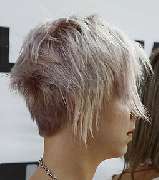 Dieter Knoll - GALLERY