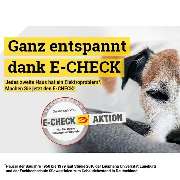 DIETRICH.expert GmbH - GALLERY