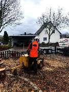 Dietrichs Baumdienst - enhanced_754.jpeg