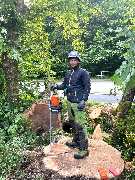 Dietrichs Baumdienst - enhanced_IMG_6499.jpeg