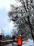 Dietrichs Baumdienst - enhanced_IMG_7534.jpeg