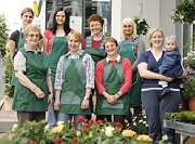 Dietterlein - Henne OHG - GALLERY