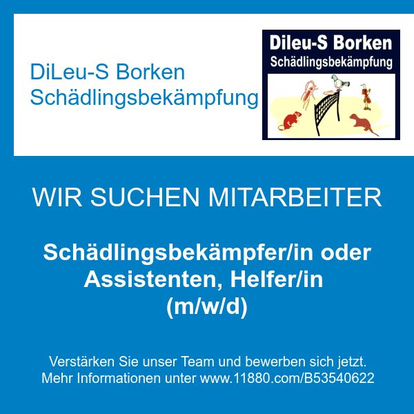 DiLeu-S Borken Schädlingsbekämpfung - Schädlingsbe …