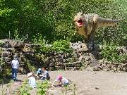 Dinosaurierpark Teufelsschlucht - Tyrannosaurus Rex schleicht sich an...