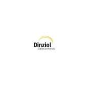 Dinziol Malerwerkstatt GmbH - 1