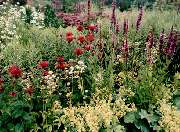 Dipl.-Ing. Ingo Bolz Gartengestaltung - GALLERY