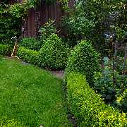 Dipl.-Ing. Ingo Bolz Gartengestaltung - GALLERY