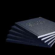 diplomaservices - GALLERY