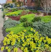 Dirk Mosch e.K. Garten- u. Landschaftsbau - GALLERY