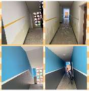 Disli - IMG_0348.jpeg