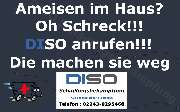 DISO Schädlingsbekämpfung - 4