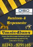 DISO Schädlingsbekämpfung - WerbungUmsiedlung1.png