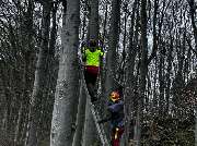 Distler Land und Forst - 3