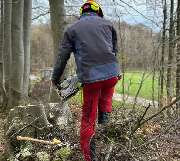 Distler Land und Forst - 5