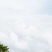 DISTREX Limousinenservice - GALLERY