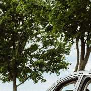 DISTREX Limousinenservice - GALLERY