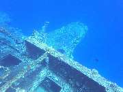 Dive X Egypt - GALLERY