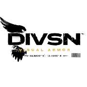 DIVSN - LOGO