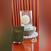 DJ Coachman - DJ & Saxophon Live Act in Augsburg - GALLERY