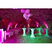 DJ Hörnle - GALLERY