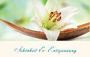Djilas Kosmetik - GALLERY