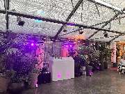 DjKtel Party und Eventmusik - GALLERY