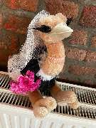 DjKtel Party und Eventmusik - GALLERY