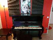 dmp school - 6