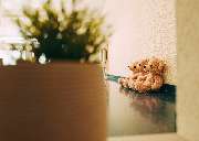 docs & bears - Zentrum für Kieferorthopädie - Willim, Langsch, Bareis - GALLERY