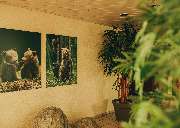 docs & bears - Zentrum für Kieferorthopädie - Willim, Langsch, Bareis - GALLERY